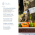 ELENITSA'S GOURMET Elenitsa's Special Select Greek Gourmet Extra Virgin Olive Oil - Perfect for Sauteing, Grilling
