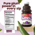 32oz (2 Pack) Gefen All Natural Prune Juice Not from Concentrate | Kosher (Including Passover)