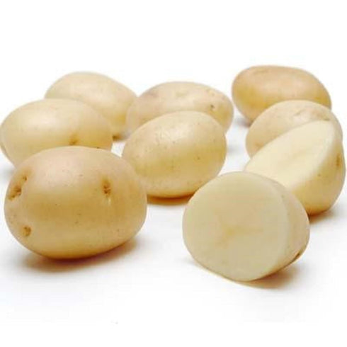 Generic Premium Quality White Potatoes 10Lbs