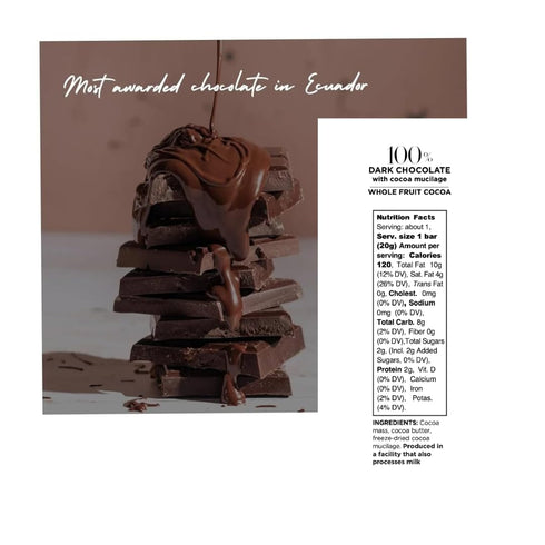 100% 100% (10 20g) Ecuadorian Dark Chocolate with cocoa mucilage Whole Fruit Cocoa Mini Bars x Fine Aroma Cacao