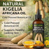 Generic 3.4 oz (100 ml) Kigelia Africana Dry Fruit Tincture, Pure Herbal Extract Massage Oil, All Natural & Vegan, fl