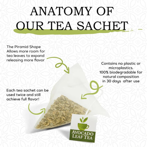 Avocado Leaf/Chamomile Tea – Caffeine-free Herbal Tea | Immune Support | 15 Tea Bags (30 Servings)