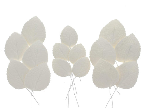 15 Count Global Sugar Art Hydrangea Leaves Sugar Cake Flowers White Mix of Large Medium and Small, by Chef Alan