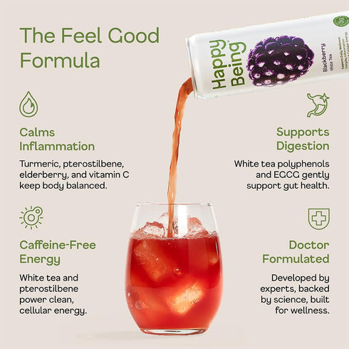 12oz (4 Pack) Happy Being Blackberry White Tea Antioxidant & Polyphenol Rich, Infused with Turmeric, Elderberry