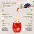 12oz (4 Pack) Happy Being Blackberry White Tea Antioxidant & Polyphenol Rich, Infused with Turmeric, Elderberry