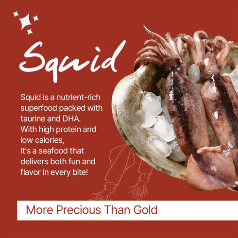 BarunJungdam 8.8oz (250g) Bibim Squid Jeotgal | Korean Spicy Seasoned Squid | Chewy & Savory Seafood Side Dish |