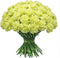 FlowerPrime 50 Green Carnations - Fresh Natural Cut Flowers