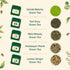 Set (10 Packed VAHDAM Assorted Green Tea Loose Leaf Tea Gift Flavors) | Loose Leaf Green Tea Collection | Includes
