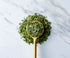 Savory Spice French Tarragon Leaves - Dried Tarragon Seasoning | Whole, Dry Tarragon Herbs for Cooking (Medium Jar - Net: 0.55 oz)