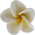 Global Sugar Art Tropical Frangipani Plumeria Sugar Cake Flowers, White 20 Count