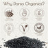 2lb Darsa Organics Urad Dal Whole - Organic Dried Lentils - USDA Certified Black Lentils, Non-GMO, Gluten Free, Kosher
