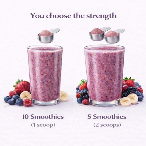 10 Berry Blast Smoothie Mix Freeze Dried Fruit Smoothie Powder for Smoothies & Shakes, Just Add Water or Milk, Servings