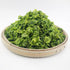 16oz/454Grams Sweet Post Dried Asparagus Lettuce Wrap-Dried Vegetables for Cooking Dried Bamboo Shoots