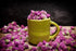 Health Embassy Red Clover Flower, Trifolium Pratense L, 100% Natural, 50g