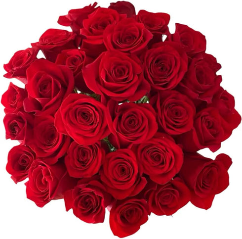 Cassiolina Fresh Cut Freedom Red Roses Bouquet, Premium Long Stem Red Roses, Fresh