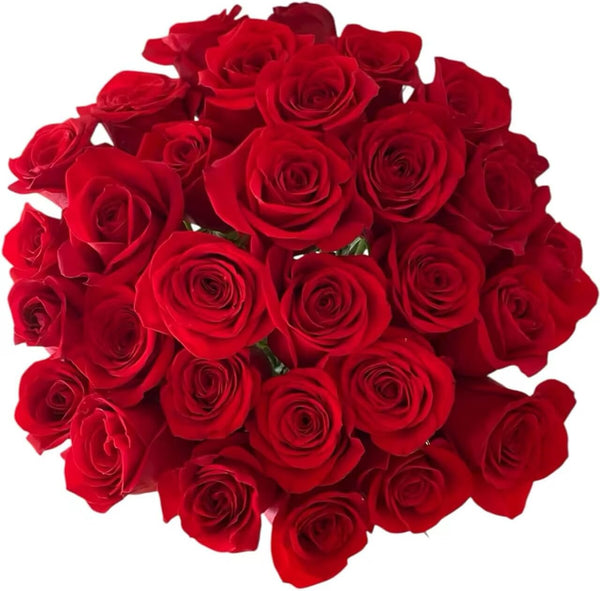 Cassiolina Fresh Cut Freedom Red Roses Bouquet, Premium Long Stem Red Roses, Fresh