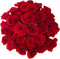 Cassiolina Fresh Cut Freedom Red Roses Bouquet, Premium Long Stem Red Roses, Fresh