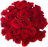 Cassiolina Fresh Cut Freedom Red Roses Bouquet, Premium Long Stem Red Roses, Fresh
