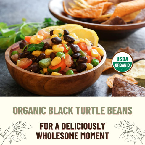 Fiber,1 lb (Pack 1) Mountain High Organics, Certified USDA Organic Dry Black Beans, Non-GMO, Vegan, Whole Dried Black