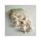Fresh Garlic Bulbs 4 lbs (2 2 lbs) Whole Bags of Product of USA