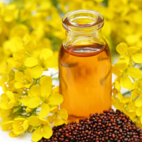 10.4 oz, Birch & Meadow Brown Mustard Seeds, Whole Seeds, Hot & Spicy Flavor, Marinades & Condiments