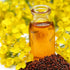 10.4 oz, Birch & Meadow Brown Mustard Seeds, Whole Seeds, Hot & Spicy Flavor, Marinades & Condiments