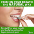 Sayan Sugar-Free All Natural Chewing Gum, 6 Packs (96 Pieces) of Siberian Pine Tree Resin and Beeswax for Fresh Breath