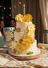 100% 3 oz (85g),Dehydrated Cokcerez Dried Pineapple Slices No sugar Added Pineapple Slices