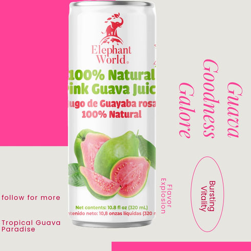 ELEPHANT WORLD 100% 12 Pack, 320 ML Natural Juices | Assorted Superfruits | Soursop-Mango-Guava-Lychee | NO Sugar added