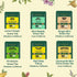 Pack (36 6 VAHDAM, Green Tea Variety Sampler Assortment Pyramid Tea Bags, Flavor) | Non-GMO Project Verified Himalayan