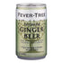 Fever Tree Ginger Beer - Premium Quality Mixer, Refreshing Beverage for Cocktails & Mocktails, 150 ML Cans (Pack of 24)