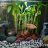 Generic 10 5x4 5x6, Lucky Bamboo Stalks and Just add Water, No Green Thumb Required, Indoor Perennial Plants, Ideal