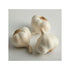 Fresh Garlic Bulbs 4 lbs (2 2 lbs) Whole Bags of Product of USA