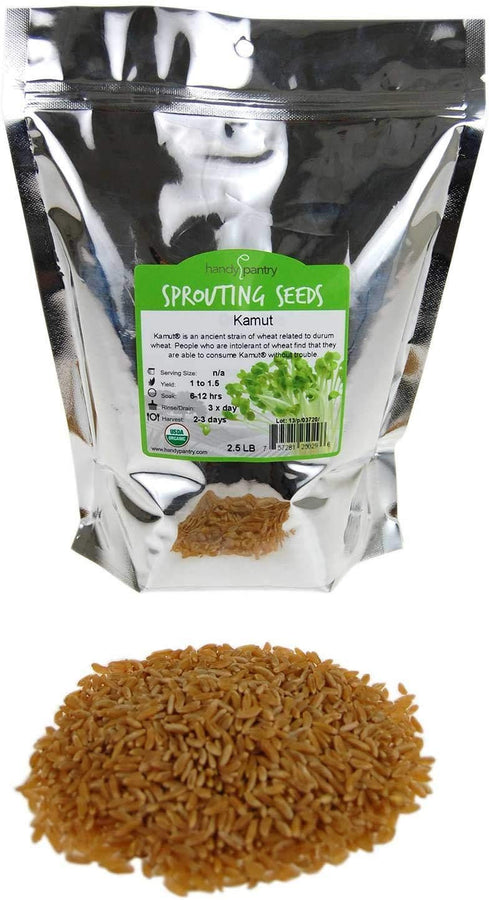 Handy Pantry Organic Kamut Seeds 1 Lb Ancient Khorasan Grain for Sprouting,
