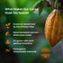 100% 8 oz Origen Cacao Husk Tea Natural Cacao Shell Zero Sugar, Caffeine-Free Superfood Healthy Chocolate Tea