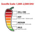 8oz Ancho Dried Whole Chile Peppers, Chili Seco Pods for Authentic Mexican Food, Resealable Bag by 1400s Spices