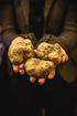 Alba 3.4 oz (Pack 1) TartufLanghe LOro in Cucina White Truffle Oil - EVOO Extra Virgin Olive Oil from Italy Infused