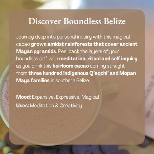 100% 8oz ORA Ceremonial Cacao - Boundless Belize - Organic Cacao - Ethical - Regenerative - High Flavanol - Coffee