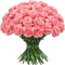 FlowerPrime 50 Pink Carnations - Fresh Natural Cut Flowers