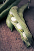 3 Food to Live Organic Cannellini Beans, Pounds Non-GMO, Dried White Kidney Beans, Sproutable, Vegan, Kosher, Bulk.