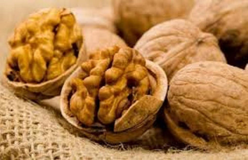 (1 Lbs.) 3 In Shell Walnuts - Large Natural California Walnuts - Great Source of Omega - Fresh New Crop - Bursting