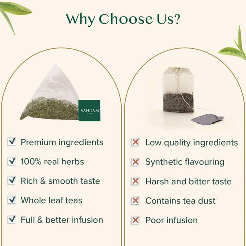 VAHDAM Mint Green Tea Bags (30 Count), 100% Pure Leaf Tea, High Grown, Low Caffeine, Non-GMO, Gluten-Free, Individually