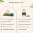 VAHDAM Mint Green Tea Bags (30 Count), 100% Pure Leaf Tea, High Grown, Low Caffeine, Non-GMO, Gluten-Free, Individually