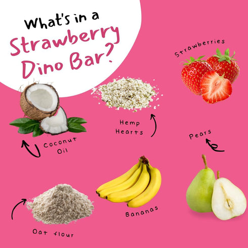 (12 Pack Dino Bars | Organic Fruit Bar for Kids | Organic Toddler Bars and Dinosaur Snacks | Fruit + Oats + Hemp Hearts