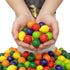 1.5-Pound SweetGourmet Assorted Fruit Shaped Gum Filled with Candy, Bulk Bag, Seedling Gumballs