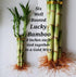 Generic 6 8 inches Lucky Bamboo Plants - stalks Tied in Gold Wire with Butterfly Stake, Home Decor, Office Desk