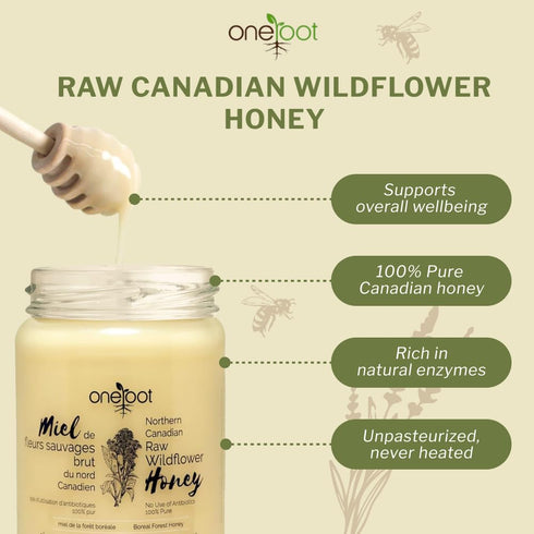 100% 1.1 lbs, Oneroot Canadian Wildflower Honey - Unheated & Creamed - Nutrient-Rich, Natural Sweetener with Enzymes