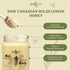 100% 1.1 lbs, Oneroot Canadian Wildflower Honey - Unheated & Creamed - Nutrient-Rich, Natural Sweetener with Enzymes