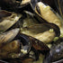 4 oz Thai Kitchen Gluten Free Green Curry Paste