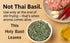 20g Hida Beauty Dried Culinary Herbs Thai Holy Basil Leaves
